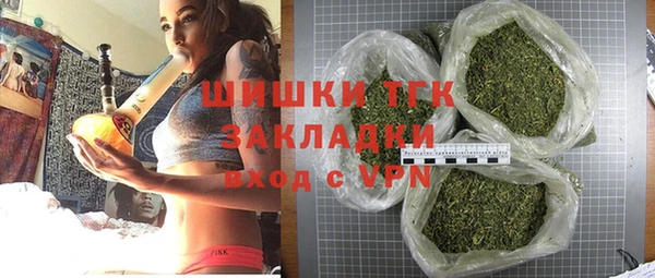 сатива Абинск