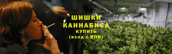 сатива Абинск
