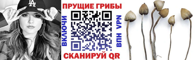 Псилоцибиновые грибы мухоморы  Алейск 